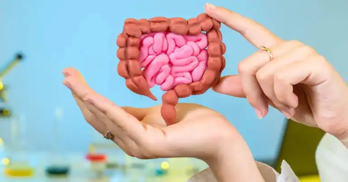 gut health explanation image